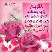 الصورة الرمزية مريم المقدسيه