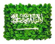 الصورة الرمزية شموخي سعودي