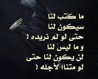 الصورة الرمزية hibatalrahmane