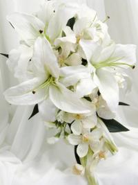 الصورة الرمزية white lilac