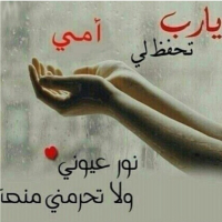 الصورة الرمزية امي جنتي