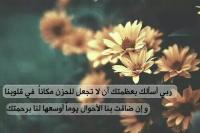 الصورة الرمزية د.نسيبه