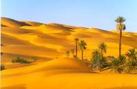 الصورة الرمزية شمس الصحراء